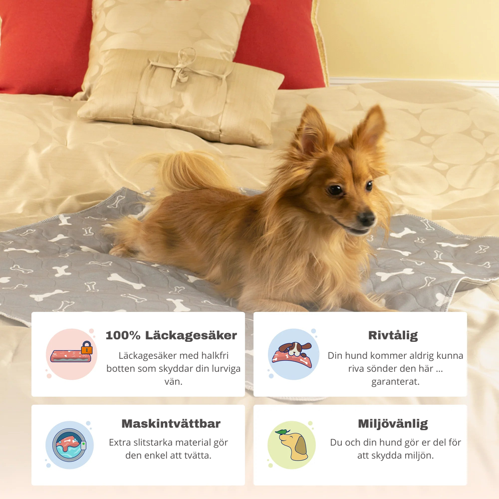 TorrTassen™ – Den Sista Kissmattan Du Behöver